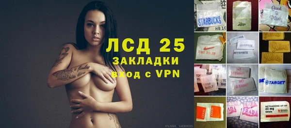 ГАЛЛЮЦИНОГЕННЫЕ ГРИБЫ Аркадак