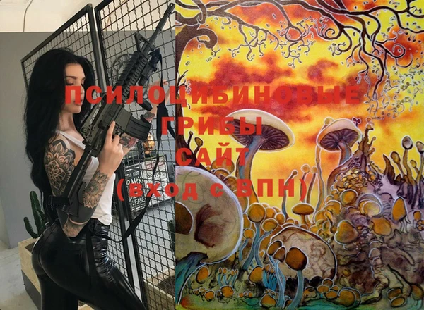 ГАЛЛЮЦИНОГЕННЫЕ ГРИБЫ Аркадак