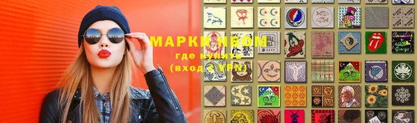 ГАЛЛЮЦИНОГЕННЫЕ ГРИБЫ Аркадак