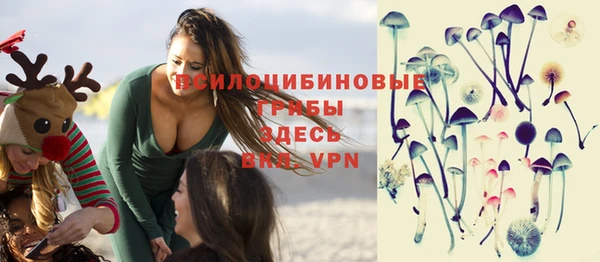 ГАЛЛЮЦИНОГЕННЫЕ ГРИБЫ Аркадак